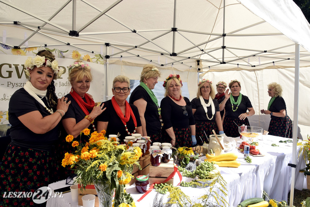 Festiwal starych ciągników w Wilkowicach (dzień 2)