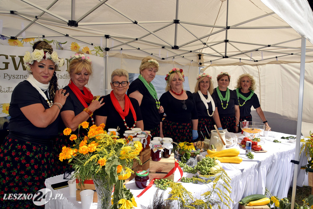 Festiwal starych ciągników w Wilkowicach (dzień 2)