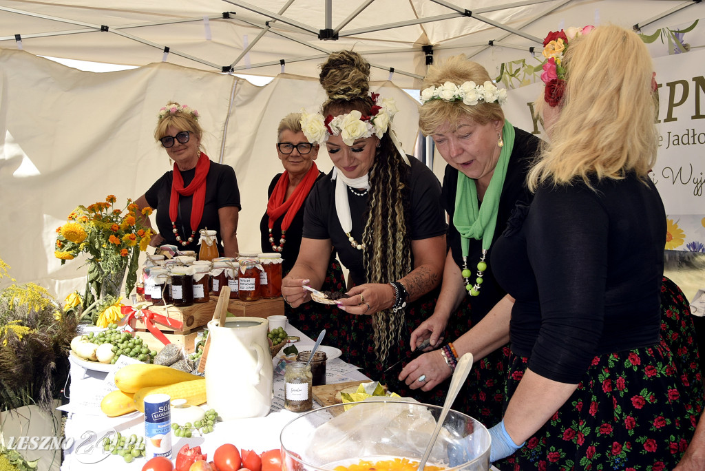 Festiwal starych ciągników w Wilkowicach (dzień 2)