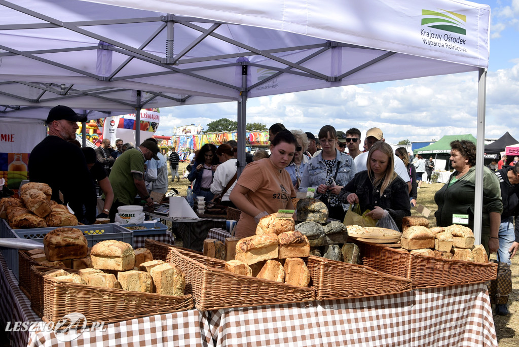 Festiwal starych ciągników w Wilkowicach (dzień 2)