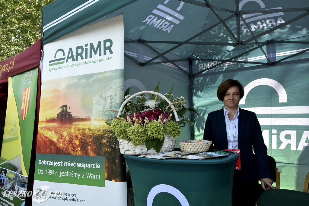 Festiwal starych ciągników w Wilkowicach (dzień 2)