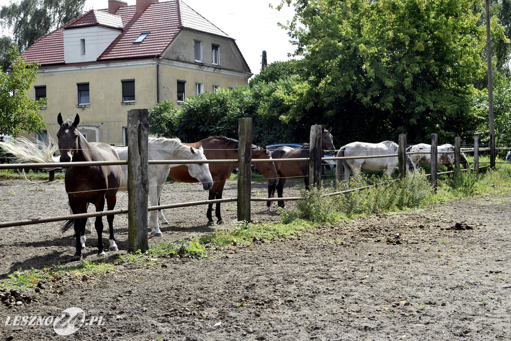 100-lecie gospodartwa Grzywaczyków w Lesznie