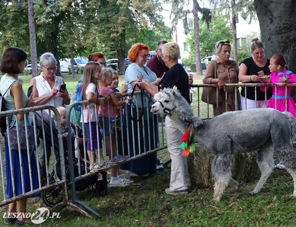 Piknik Leszczyńskie Smaki 2025