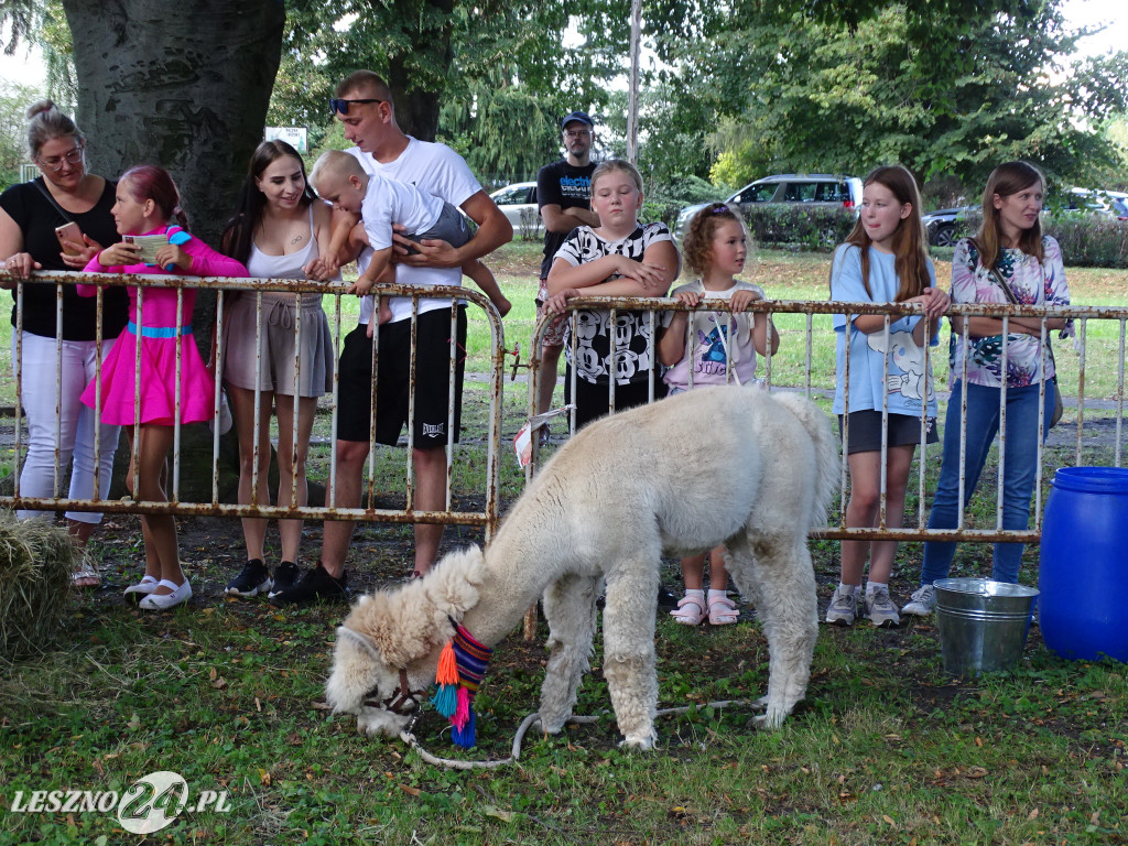 Piknik Leszczyńskie Smaki 2025
