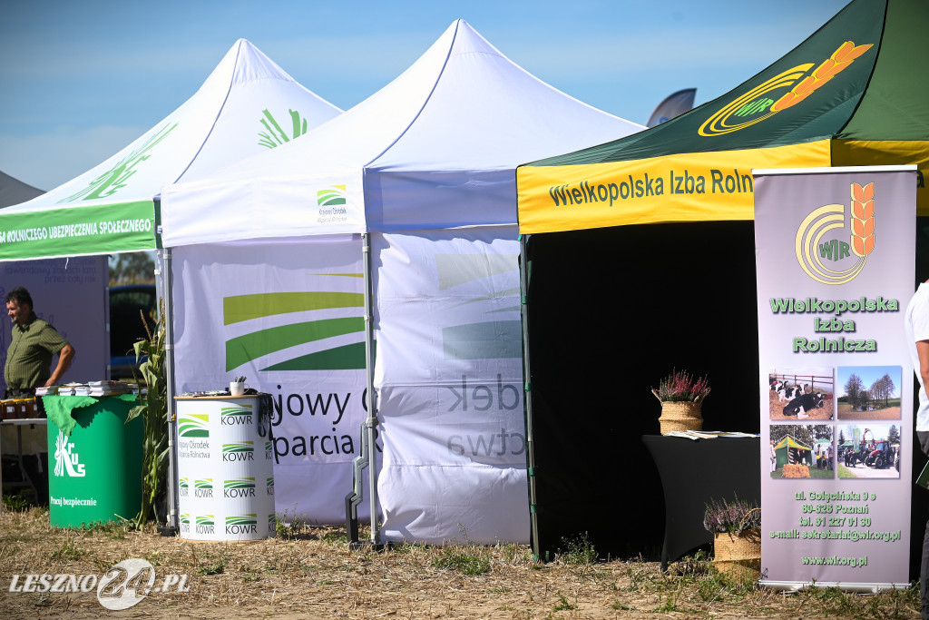 Dzień Kukurydzy w Pawłowicach