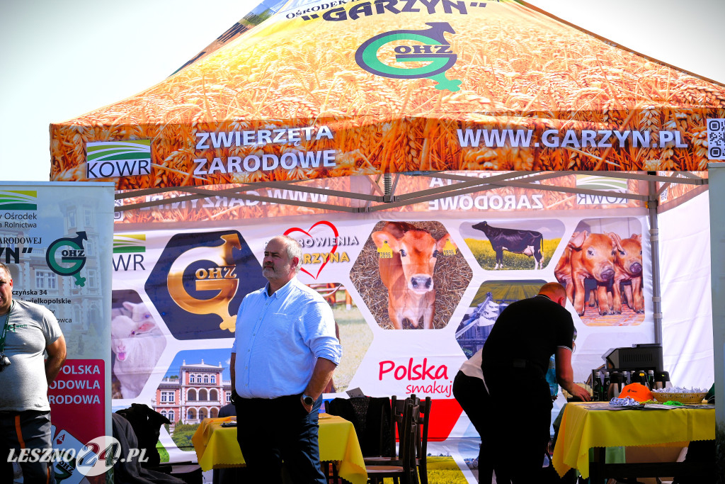 Dzień Kukurydzy w Drobninie