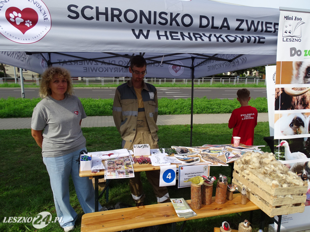Targi NGO w Lesznie