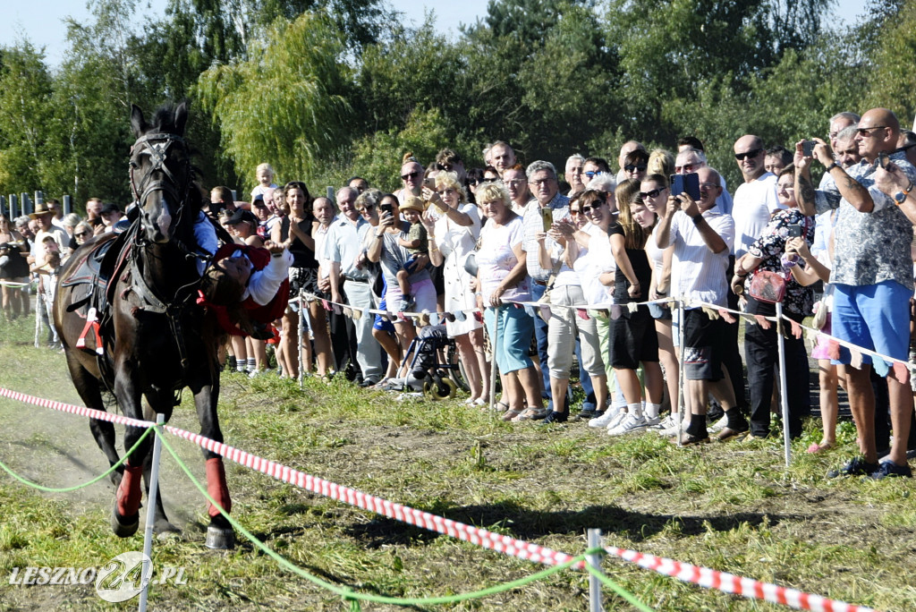 Piotrowiczanie i Trzebinianie wolni od 330 lat