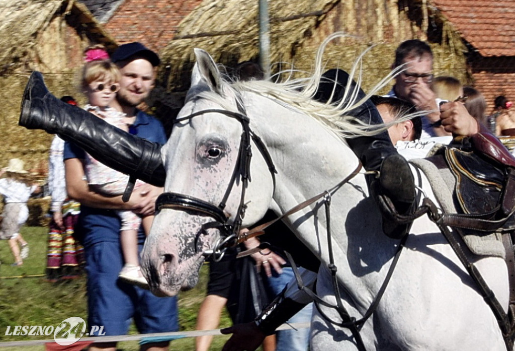 Piotrowiczanie i Trzebinianie wolni od 330 lat