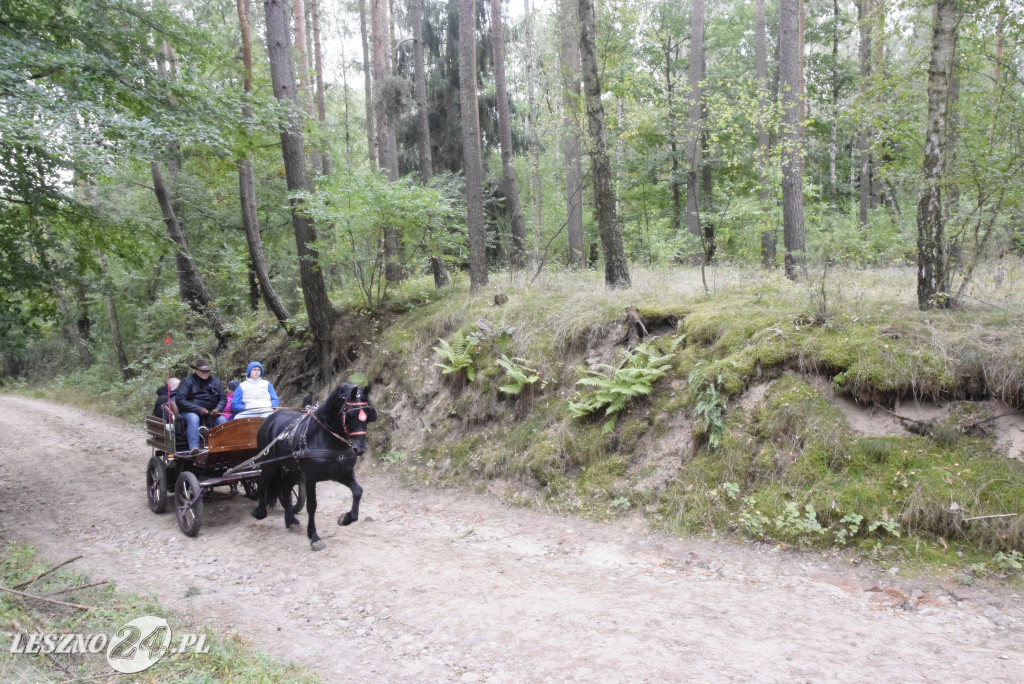 XIX Hubertus w Wilkowicach