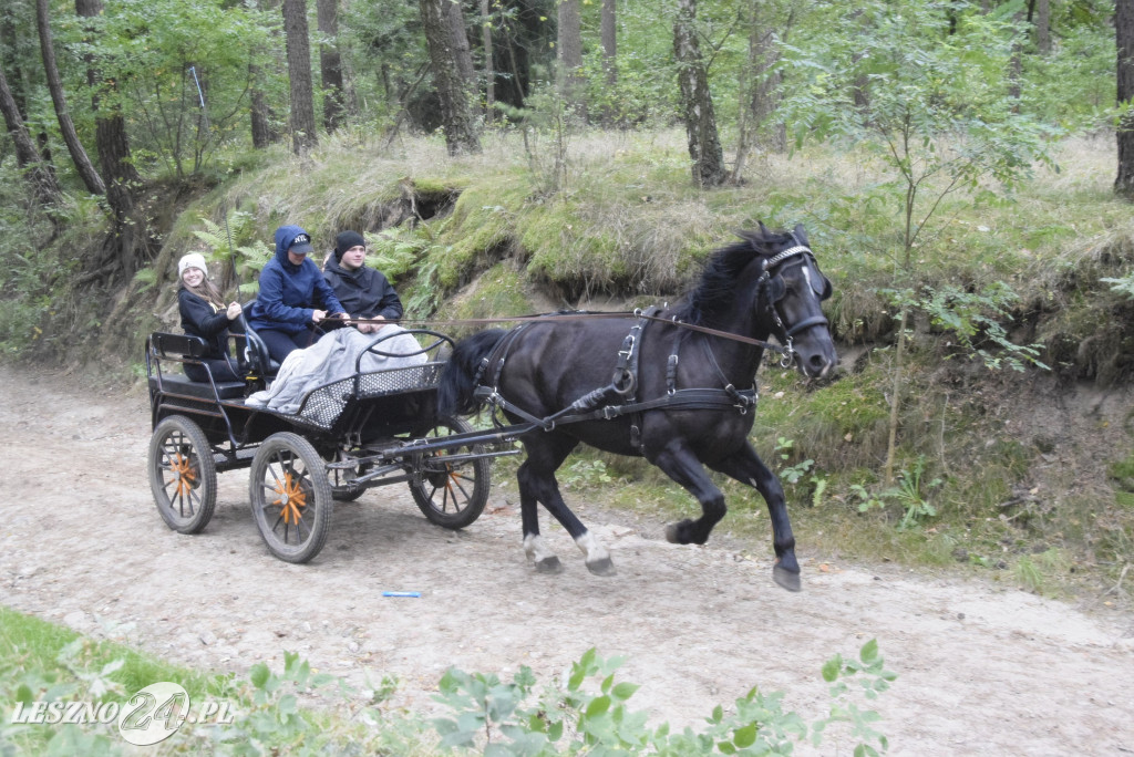 XIX Hubertus w Wilkowicach