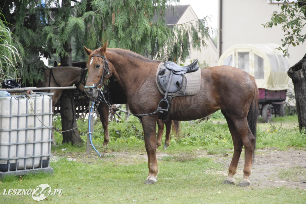 XIX Hubertus w Wilkowicach