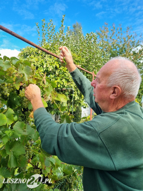Przez zmiany klimatu przyroda głupieje