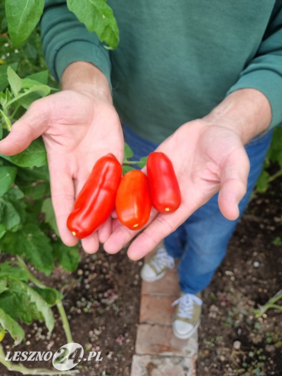 Przez zmiany klimatu przyroda głupieje