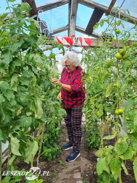 Przez zmiany klimatu przyroda głupieje