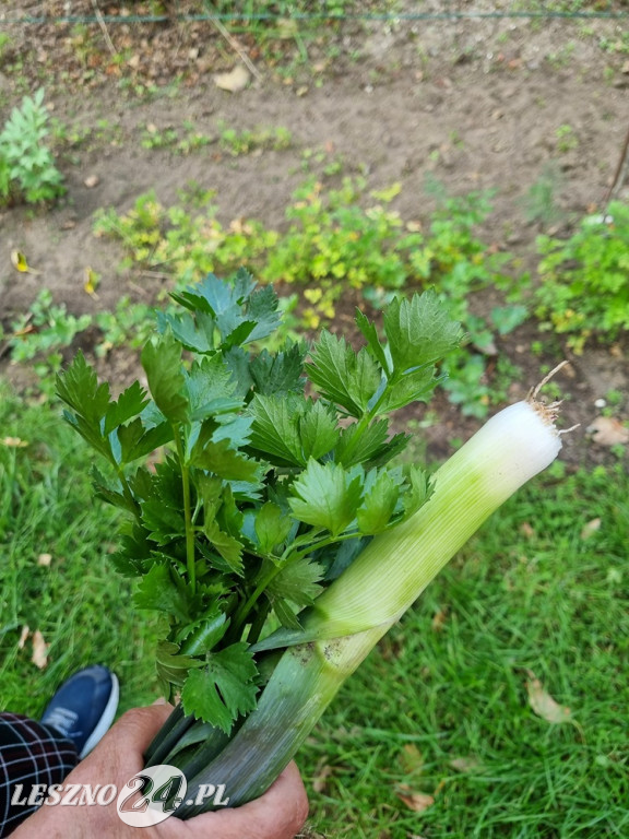 Przez zmiany klimatu przyroda głupieje