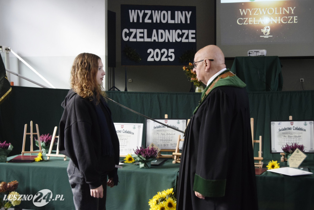 Wyzwoliny Czeladnicze 2025