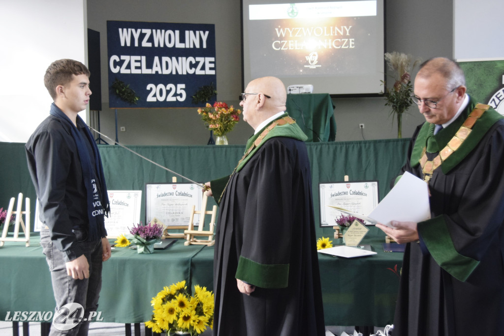 Wyzwoliny Czeladnicze 2025