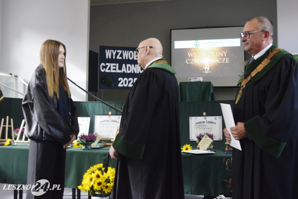 Wyzwoliny Czeladnicze 2025