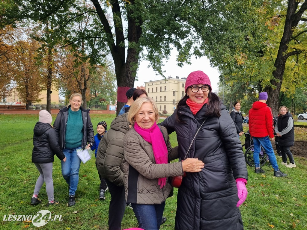 Pole Nadziei - sadzenie żonkili 2025