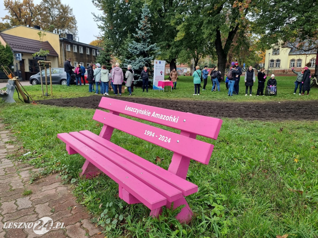Pole Nadziei - sadzenie żonkili 2025