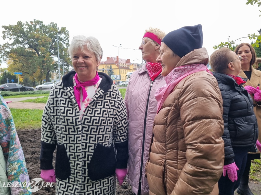 Pole Nadziei - sadzenie żonkili 2025