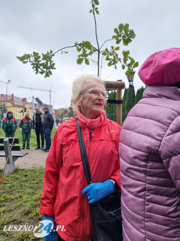Pole Nadziei - sadzenie żonkili 2025