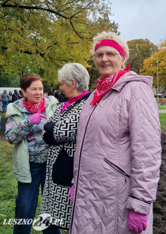 Pole Nadziei - sadzenie żonkili 2025