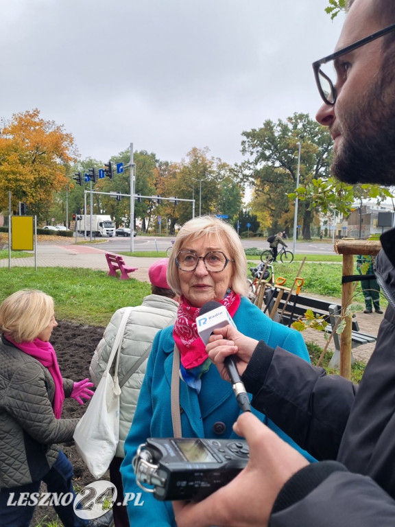 Pole Nadziei - sadzenie żonkili 2025