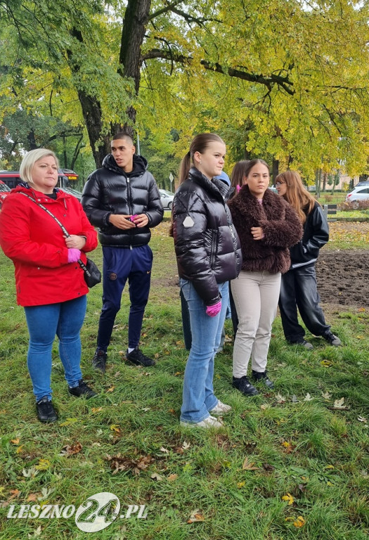 Pole Nadziei - sadzenie żonkili 2025