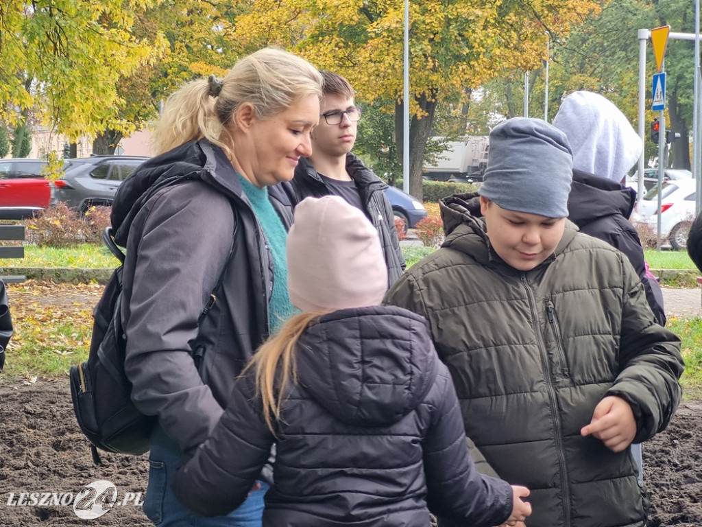 Pole Nadziei - sadzenie żonkili 2025