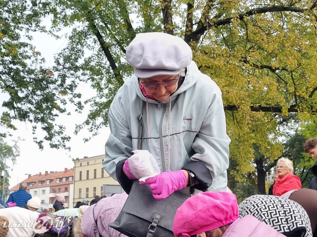 Pole Nadziei - sadzenie żonkili 2025