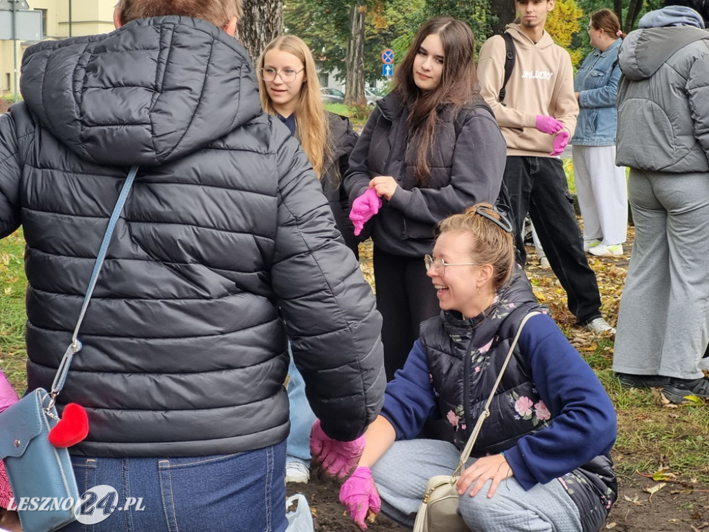 Pole Nadziei - sadzenie żonkili 2025