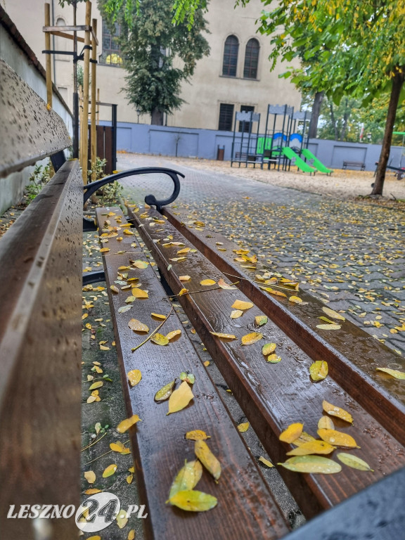 Jesienny spacer po Rydzynie