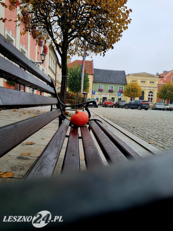 Jesienny spacer po Rydzynie