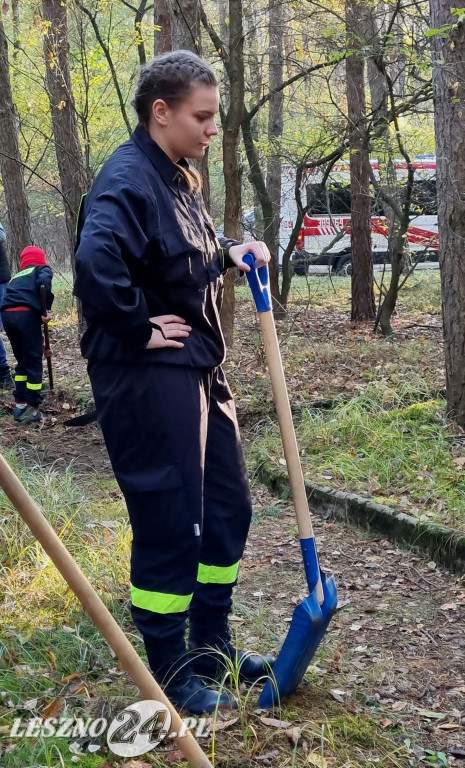 Strażacy uporządkowali mogiły w lesie rydzyńskim