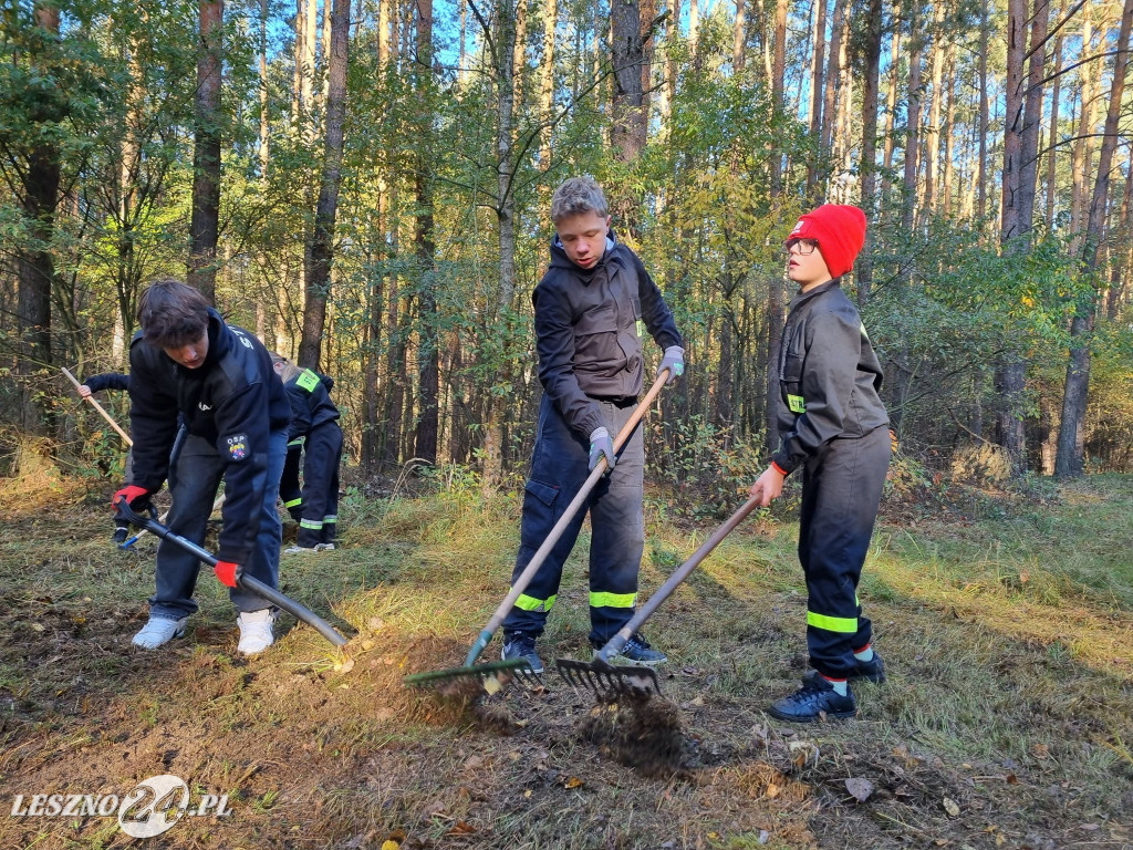 Strażacy uporządkowali mogiły w lesie rydzyńskim