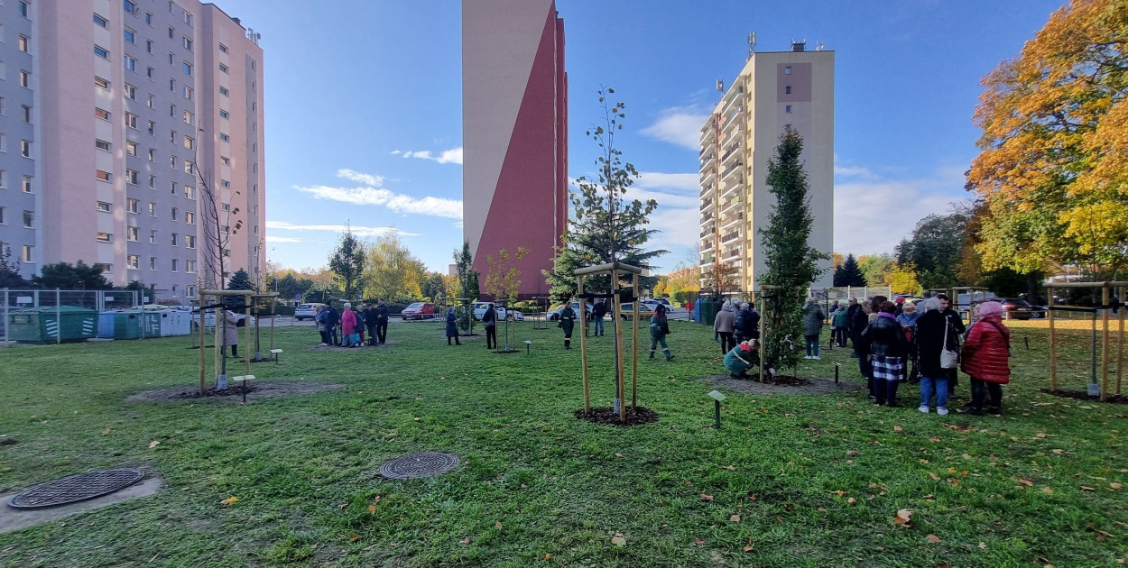 Sadzenie drzew w Parku Grody Leszczyńskie