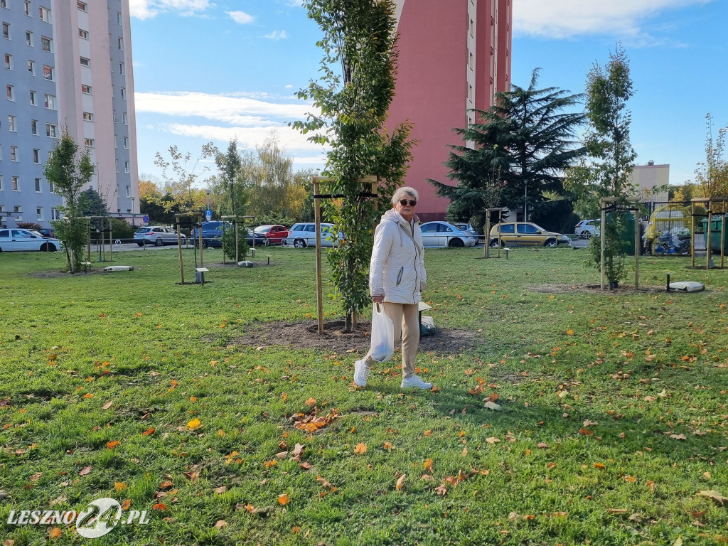Sadzenie drzew w Parku Grody Leszczyńskie