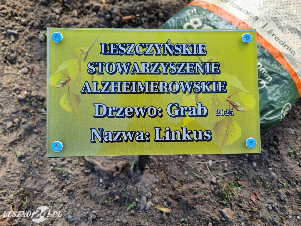 Sadzenie drzew w Parku Grody Leszczyńskie