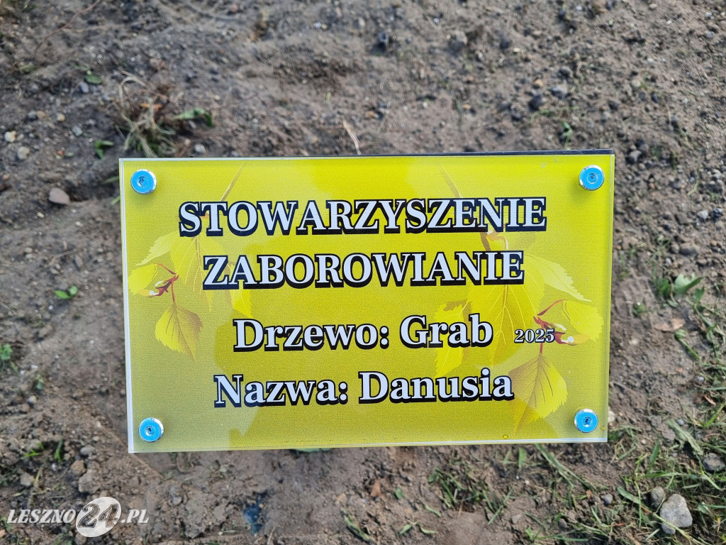 Sadzenie drzew w Parku Grody Leszczyńskie