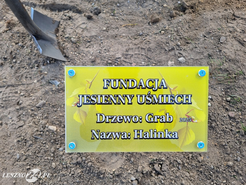 Sadzenie drzew w Parku Grody Leszczyńskie