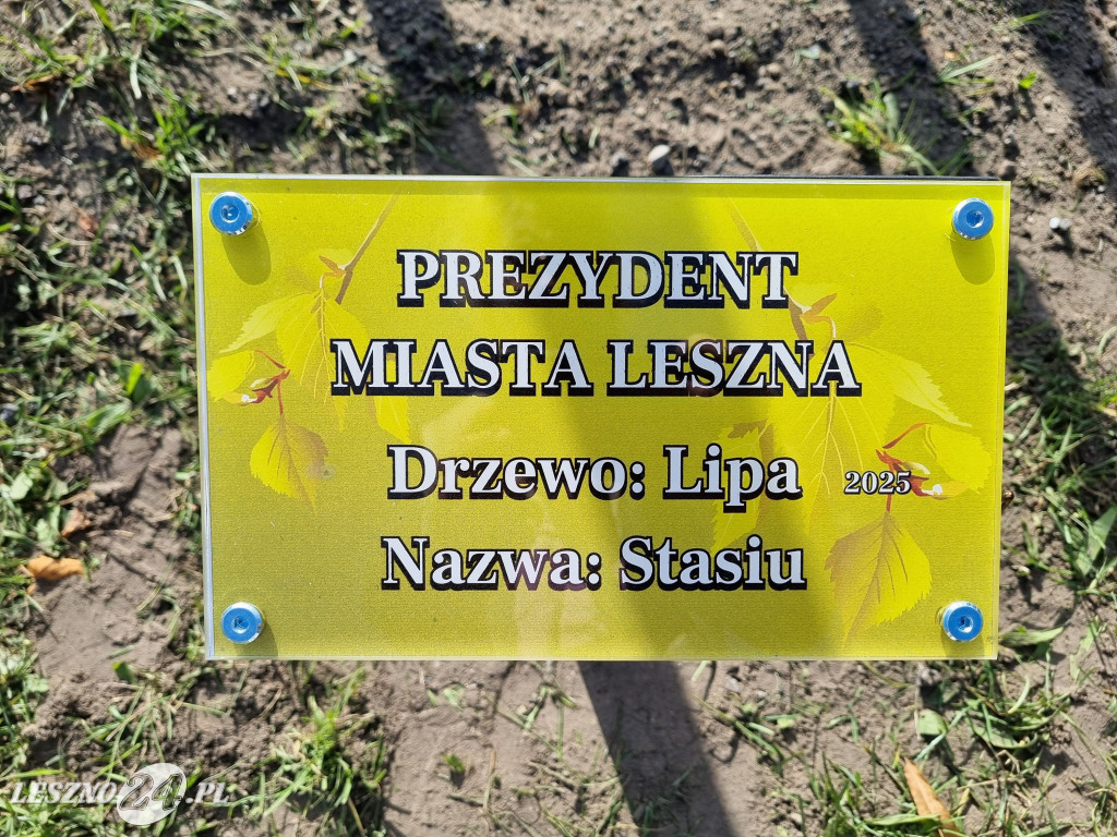 Sadzenie drzew w Parku Grody Leszczyńskie