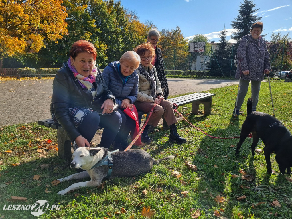 Sadzenie drzew w Parku Grody Leszczyńskie