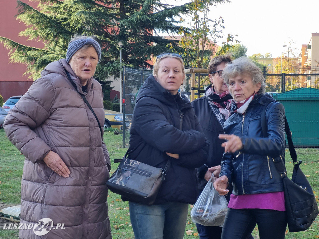 Sadzenie drzew w Parku Grody Leszczyńskie