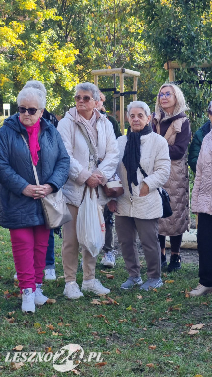 Sadzenie drzew w Parku Grody Leszczyńskie