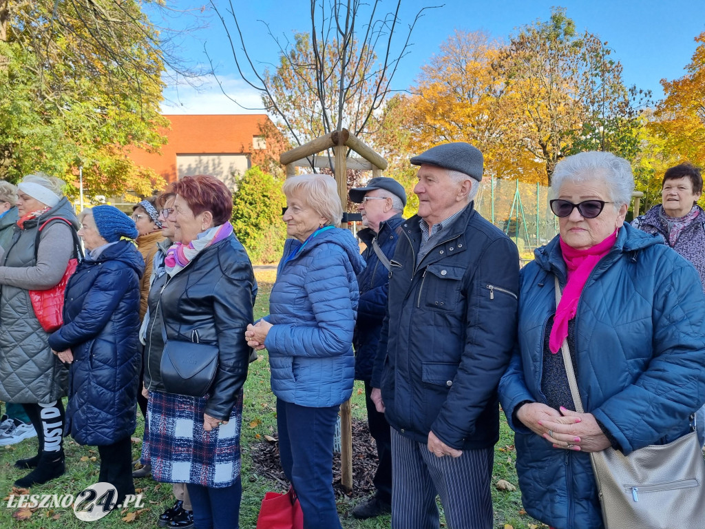 Sadzenie drzew w Parku Grody Leszczyńskie