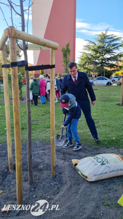 Sadzenie drzew w Parku Grody Leszczyńskie