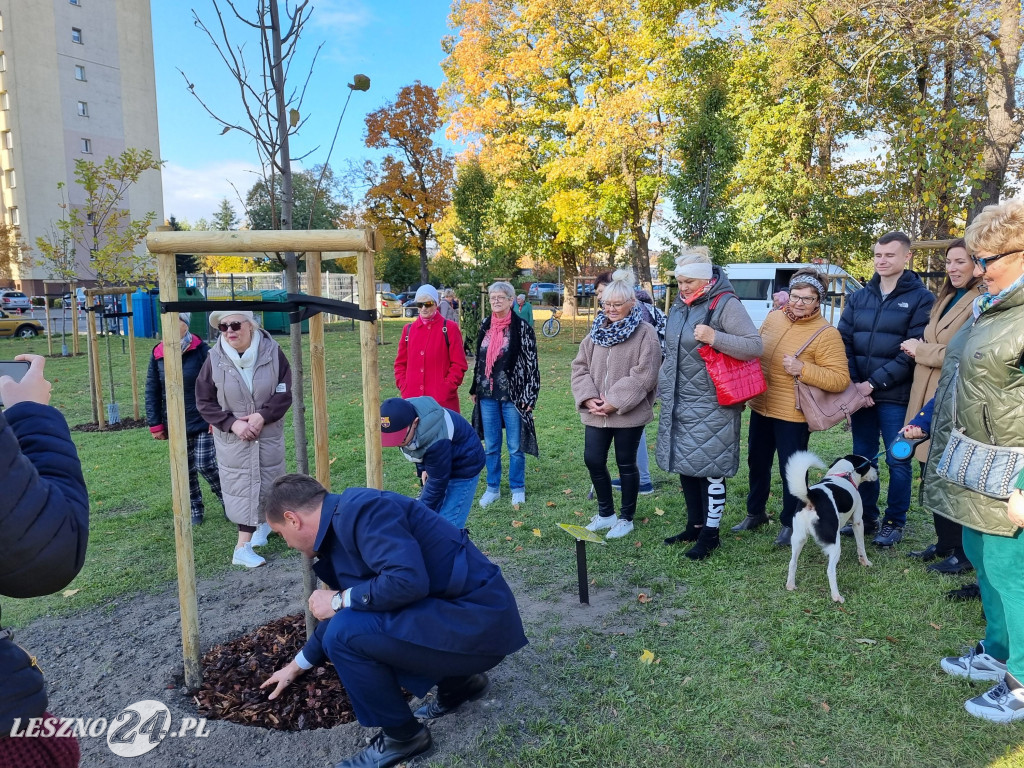 Sadzenie drzew w Parku Grody Leszczyńskie