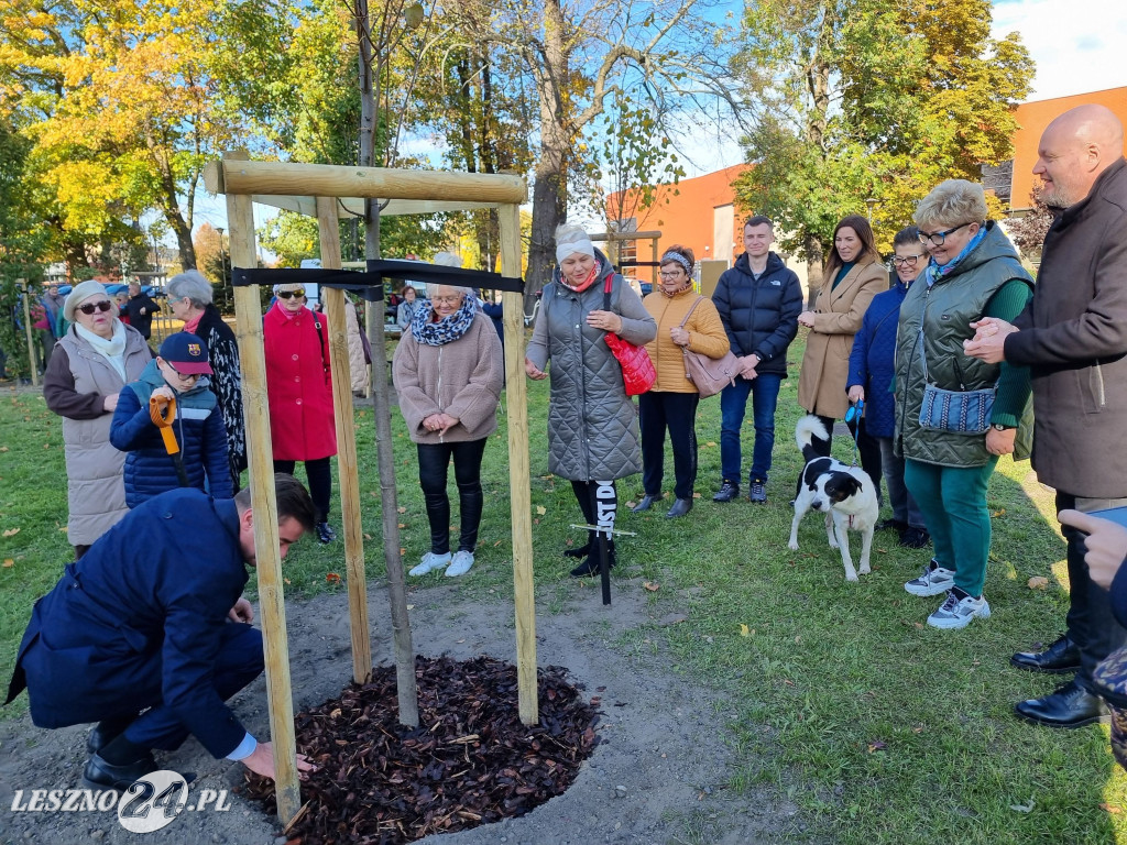 Sadzenie drzew w Parku Grody Leszczyńskie
